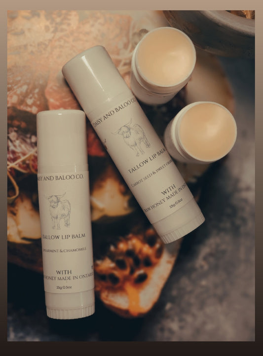 Tallow Lip Balm