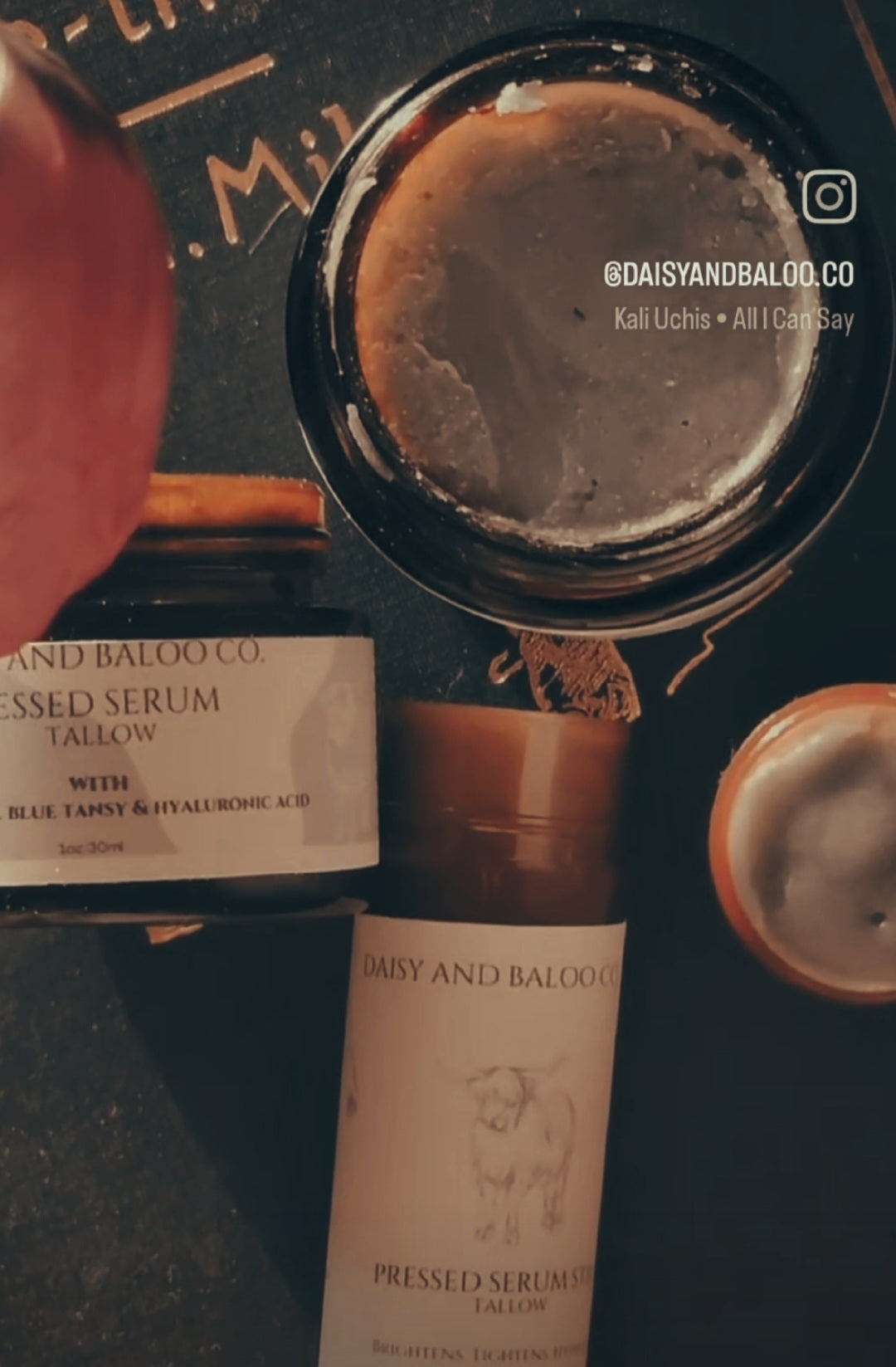 Pressed Serum Stick (Tallow) Prickly Pear & Blue Tansy