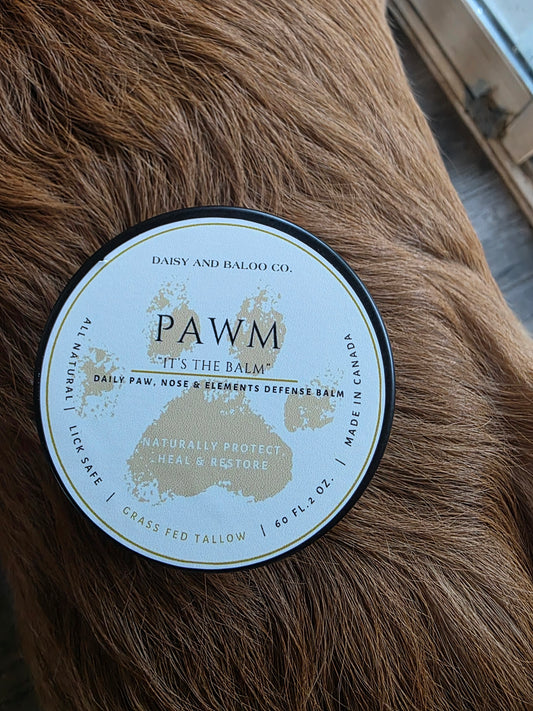 🐾 PAWM – Protective Paw, Nose & Elements ( Sun ) Balm